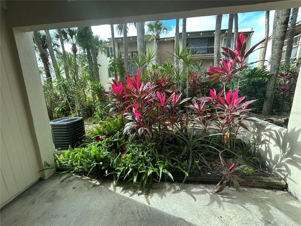 出租: $1,100 (1 贝兹, 1 浴室, 581 平方英尺)