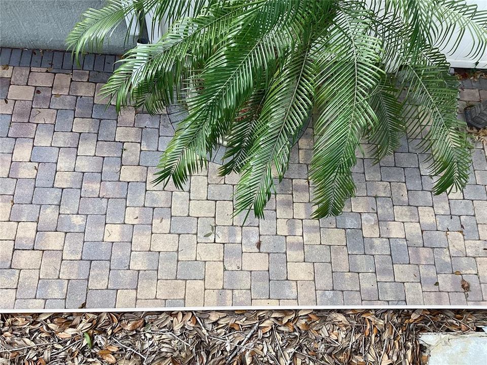 For Rent: $2,600 (4 beds, 2 baths, 1839 Square Feet)