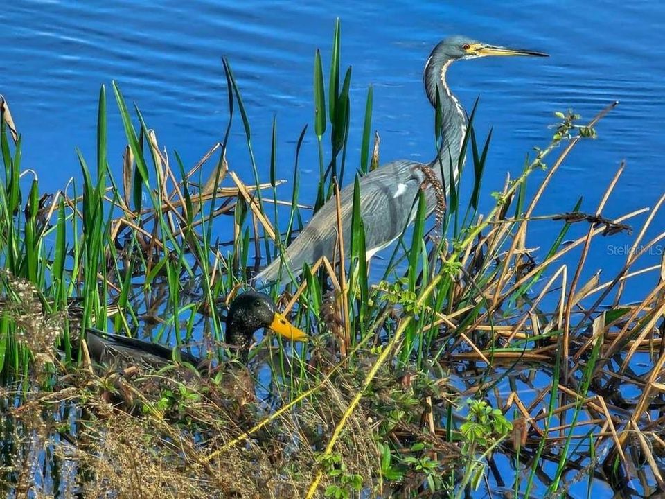 En Venta: $360,000 (3 camas, 3 baños, 1367 Pies cuadrados)