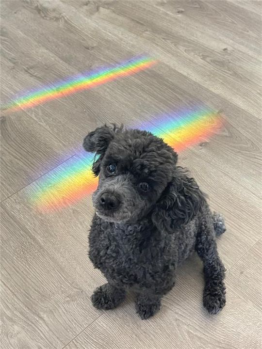 En Venta: $360,000 (3 camas, 3 baños, 1367 Pies cuadrados)