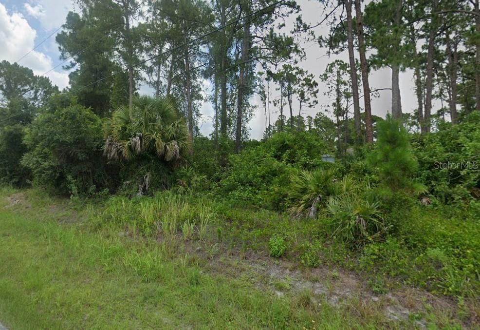 For Sale: $19,500 (0.23 acres)