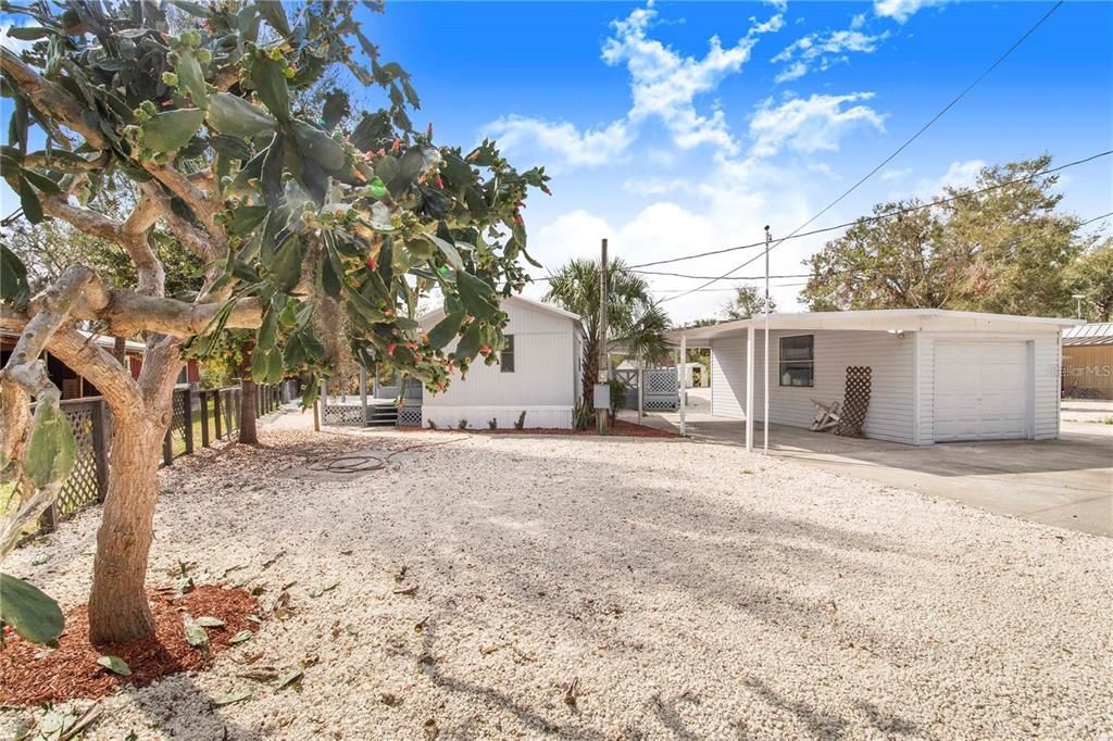 待售: $150,000 (2 贝兹, 2 浴室, 924 平方英尺)