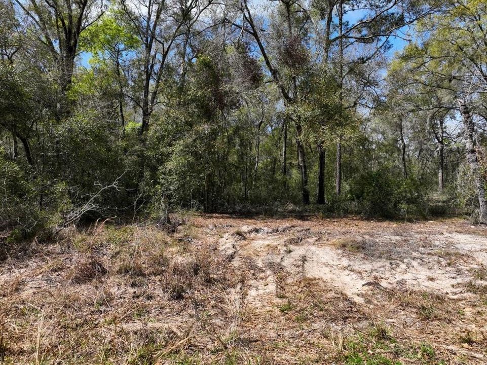 На продажу: $9,900 (0.23 acres)