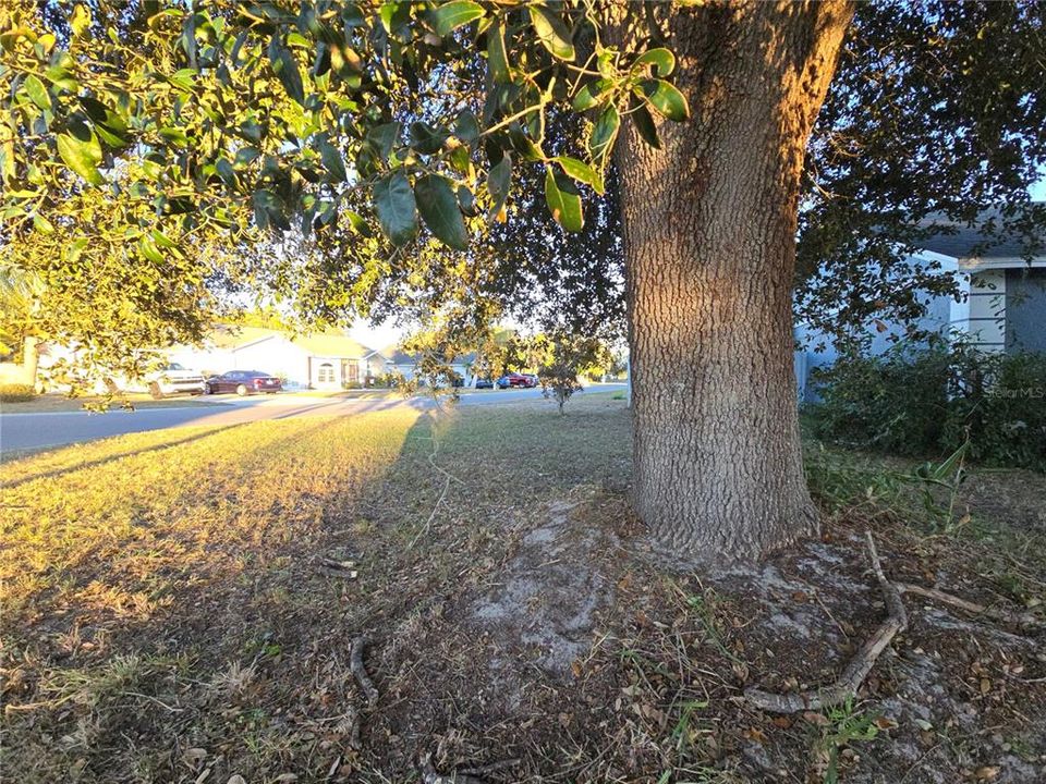 На продажу: $250,000 (4 спален, 2 ванн, 1634 Квадратных фут)