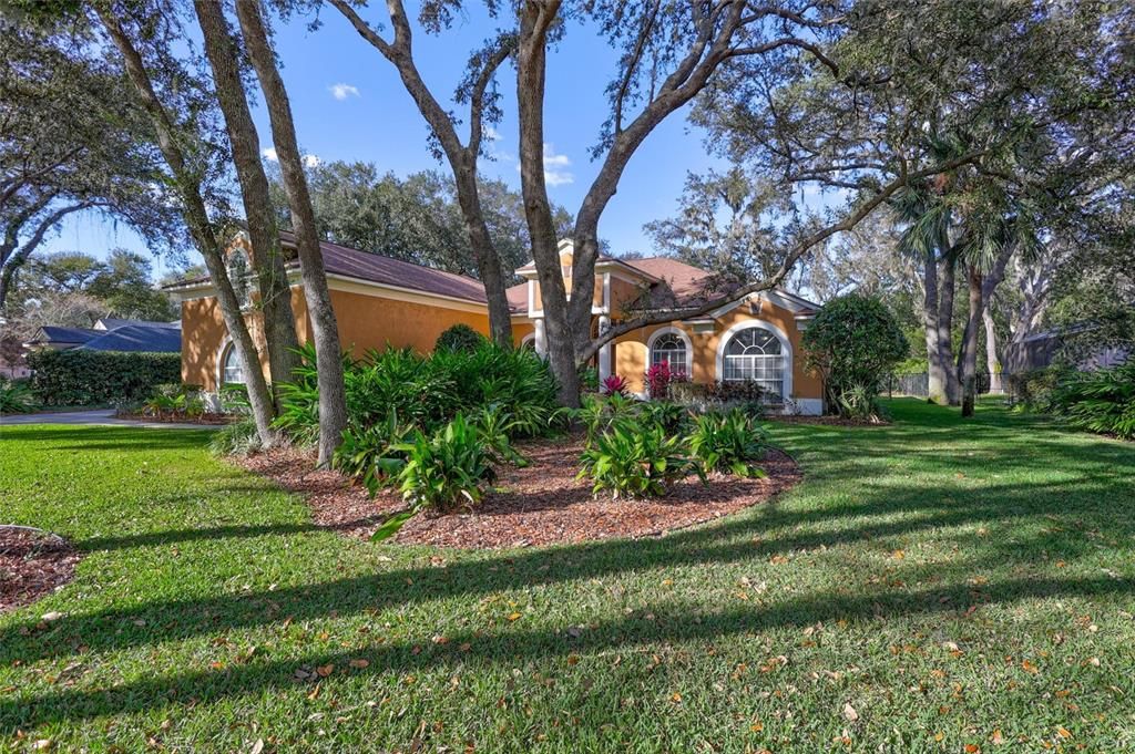 待售: $925,000 (5 贝兹, 3 浴室, 3479 平方英尺)