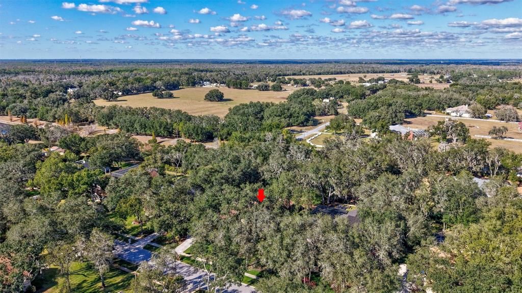 待售: $925,000 (5 贝兹, 3 浴室, 3479 平方英尺)