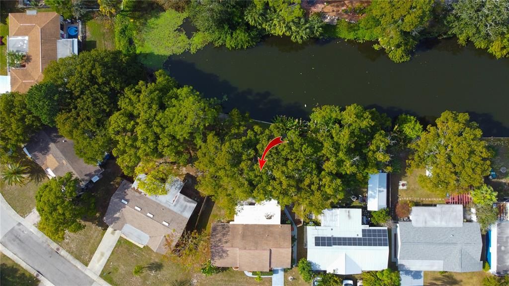 For Rent: $1,950 (2 beds, 1 baths, 1264 Square Feet)