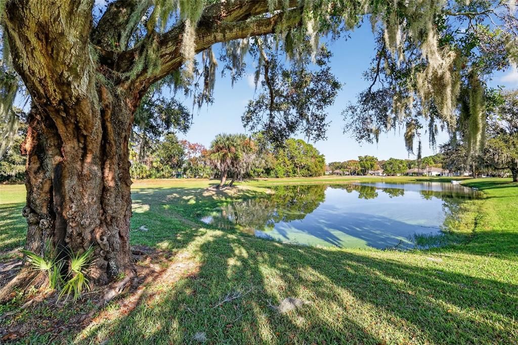 En Venta: $218,000 (2 camas, 2 baños, 1024 Pies cuadrados)