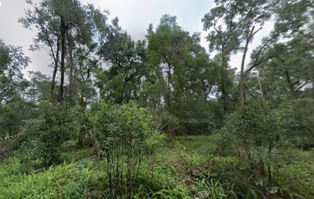 待售: $154,999 (1.62 acres)