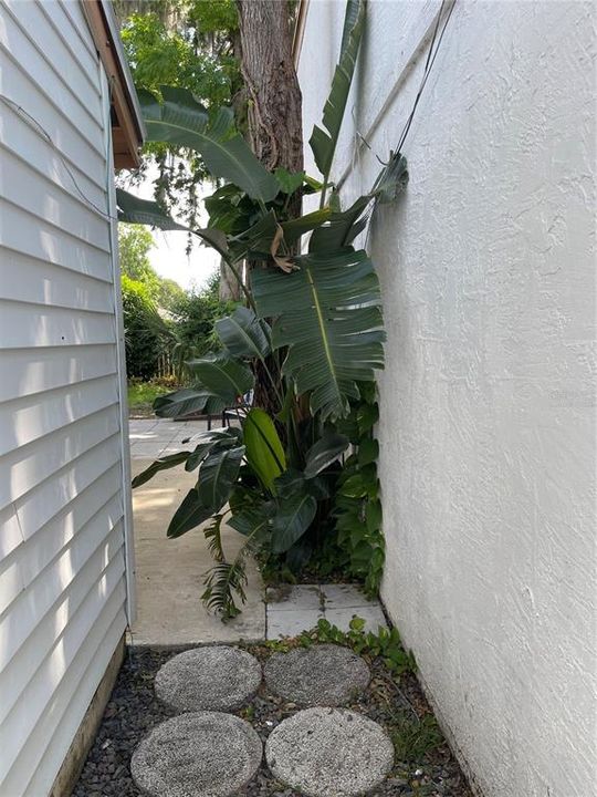 出租: $1,700 (2 贝兹, 2 浴室, 1177 平方英尺)