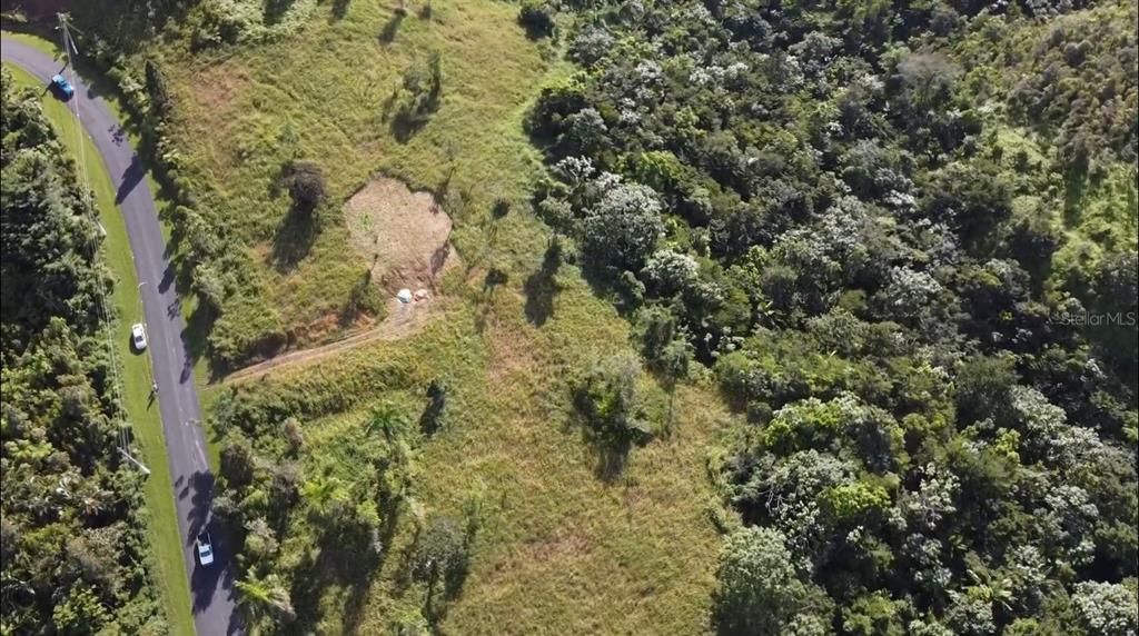 For Sale: $350,000 (12.00 acres)