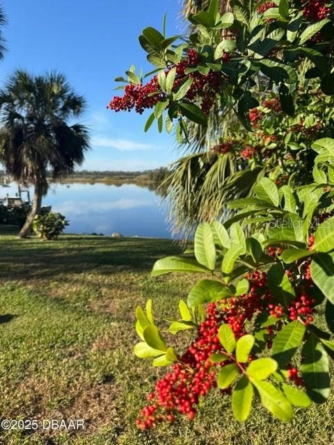 For Sale: $699,000 (1.55 acres)