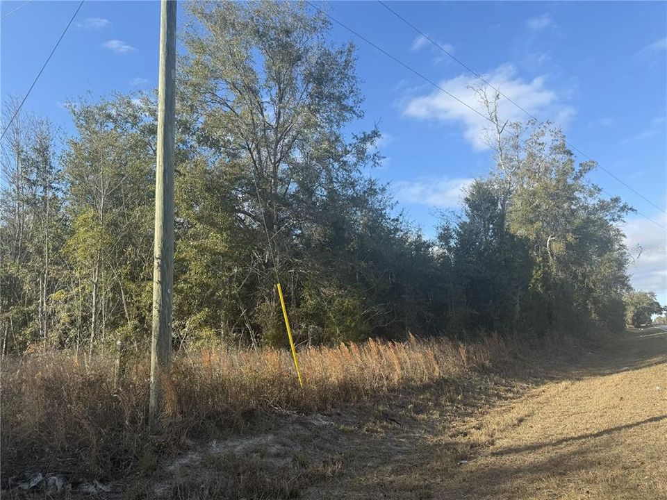 For Sale: $75,000 (5.60 acres)