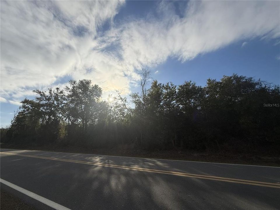 For Sale: $75,000 (5.60 acres)