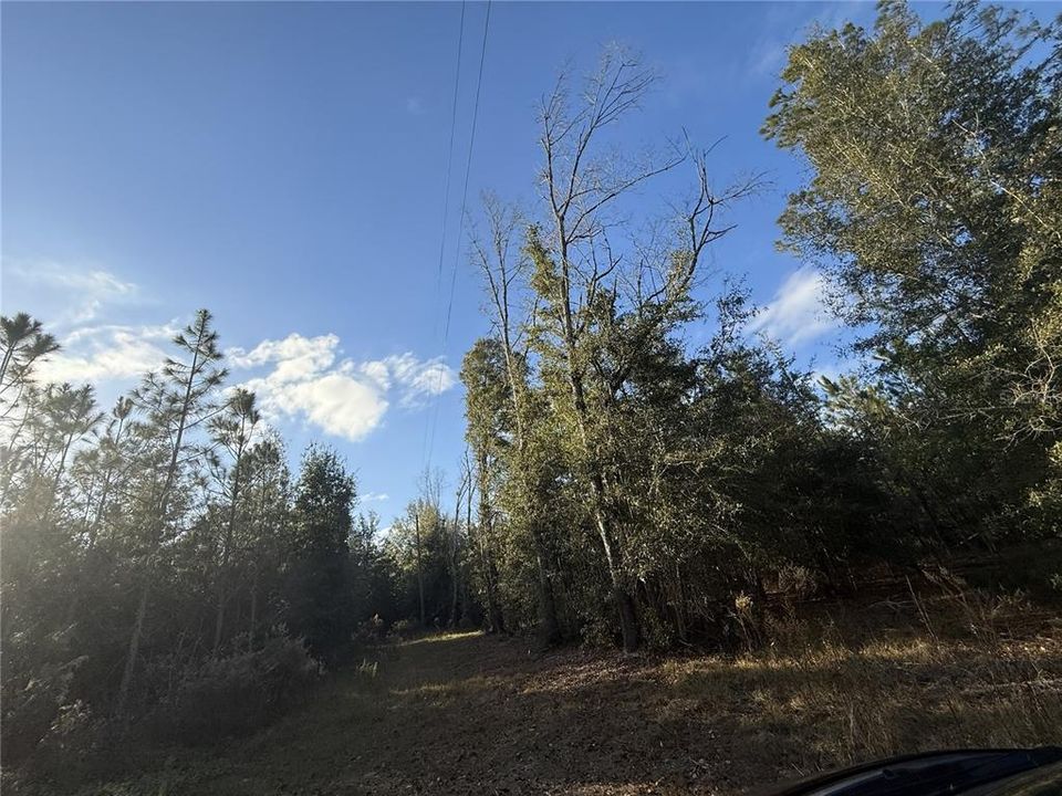 For Sale: $75,000 (5.60 acres)