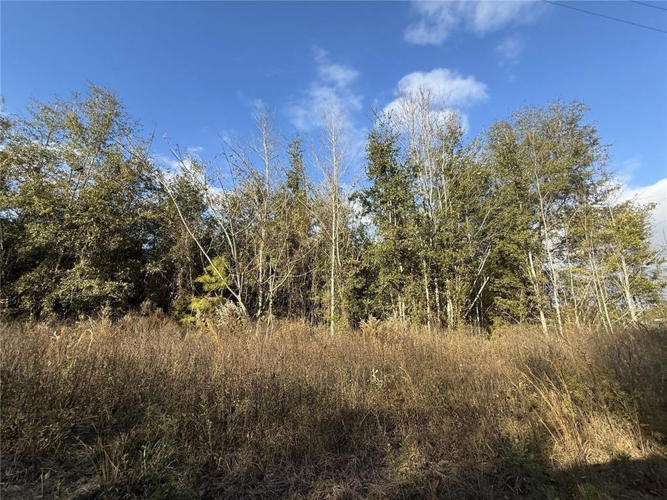 For Sale: $75,000 (5.60 acres)