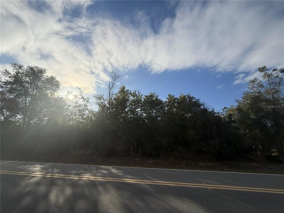 For Sale: $75,000 (5.60 acres)