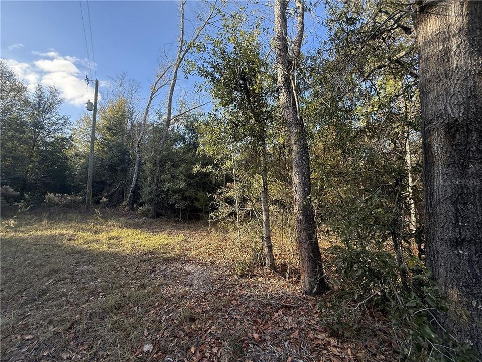 For Sale: $75,000 (5.60 acres)