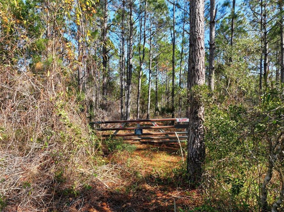 For Sale: $178,000 (5.00 acres)