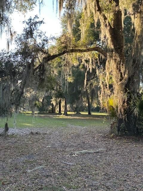 En Venta: $495,000 (3 camas, 2 baños, 1450 Pies cuadrados)