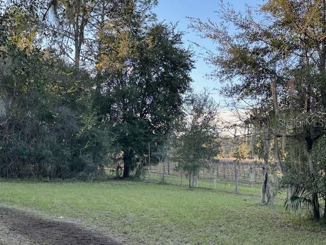 En Venta: $495,000 (3 camas, 2 baños, 1450 Pies cuadrados)