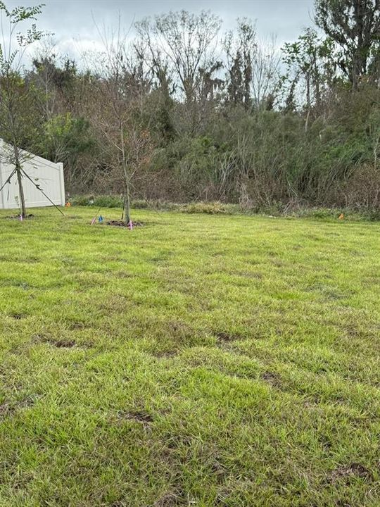 В аренду: $2,450 (3 спален, 2 ванн, 1566 Квадратных фут)