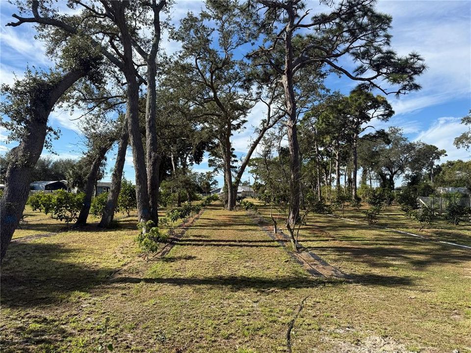 待售: $1,700,000 (0 贝兹, 0 浴室, 0 平方英尺)