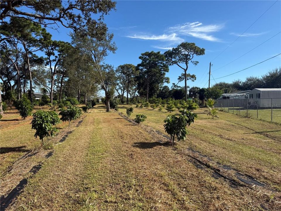 待售: $1,700,000 (0 贝兹, 0 浴室, 0 平方英尺)