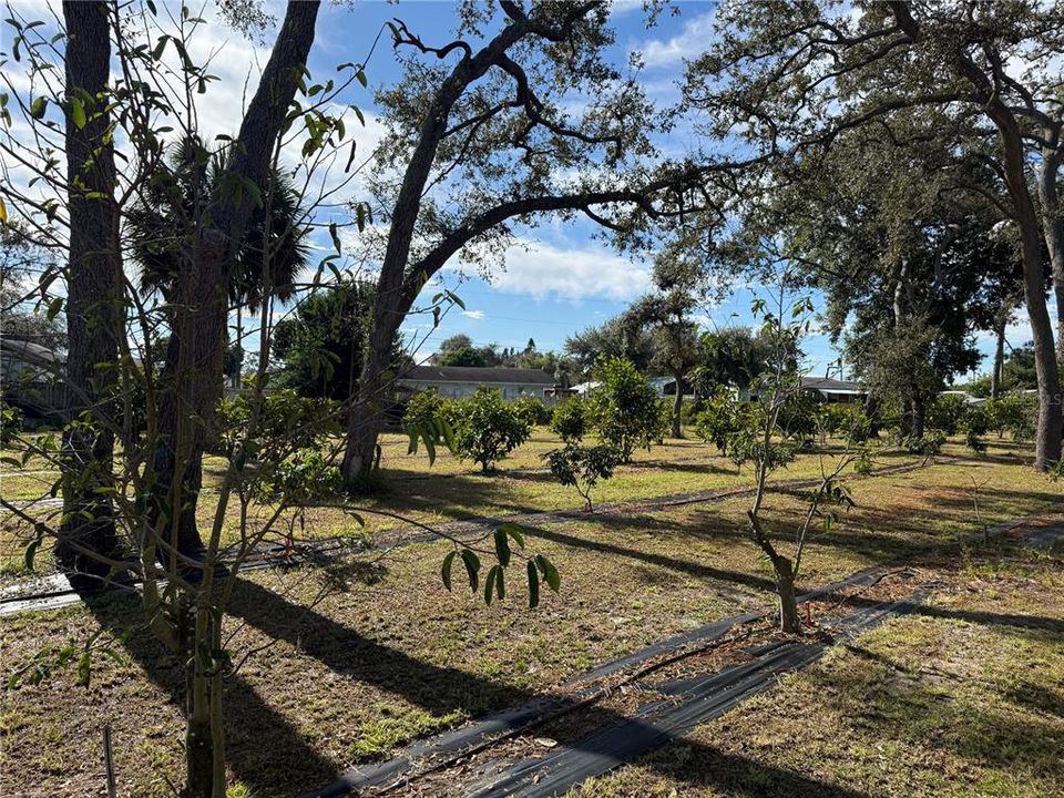 待售: $1,700,000 (0 贝兹, 0 浴室, 0 平方英尺)