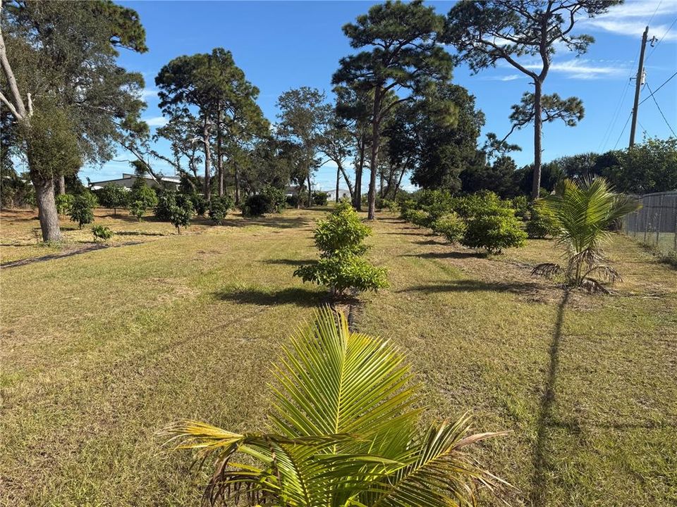 待售: $1,700,000 (0 贝兹, 0 浴室, 0 平方英尺)