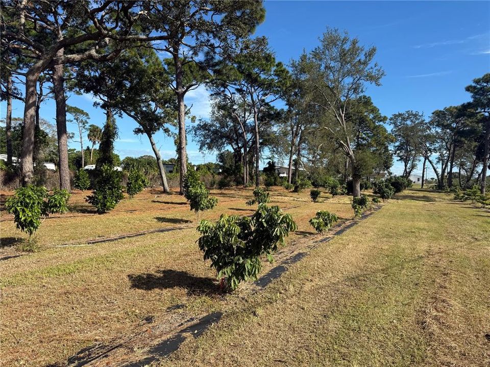 待售: $1,700,000 (0 贝兹, 0 浴室, 0 平方英尺)