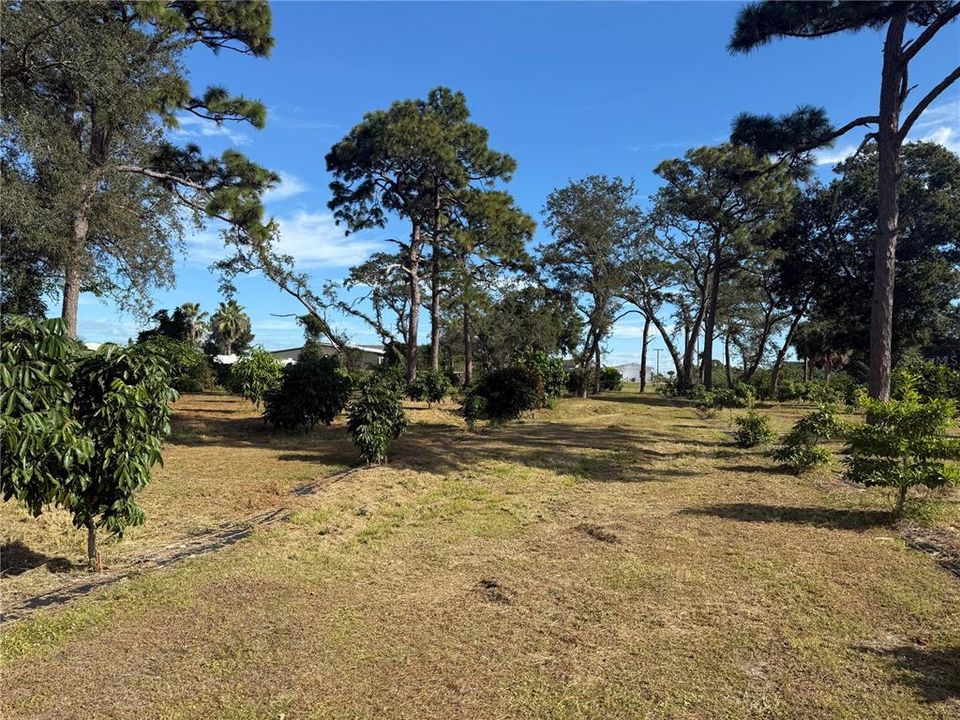 待售: $1,700,000 (0 贝兹, 0 浴室, 0 平方英尺)