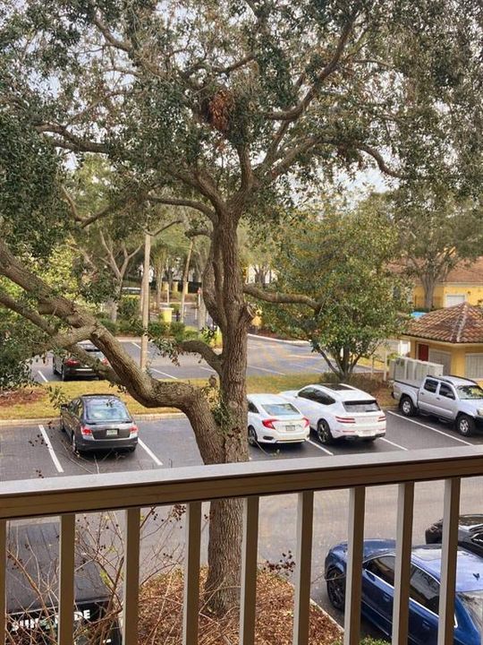 For Rent: $1,390 (1 beds, 1 baths, 672 Square Feet)