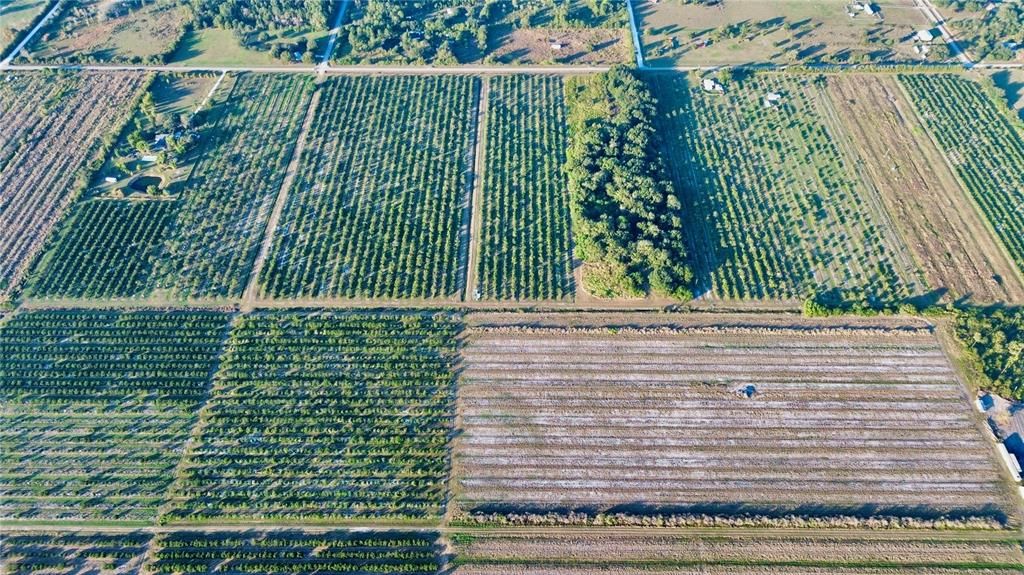 For Sale: $628,320 (39.27 acres)