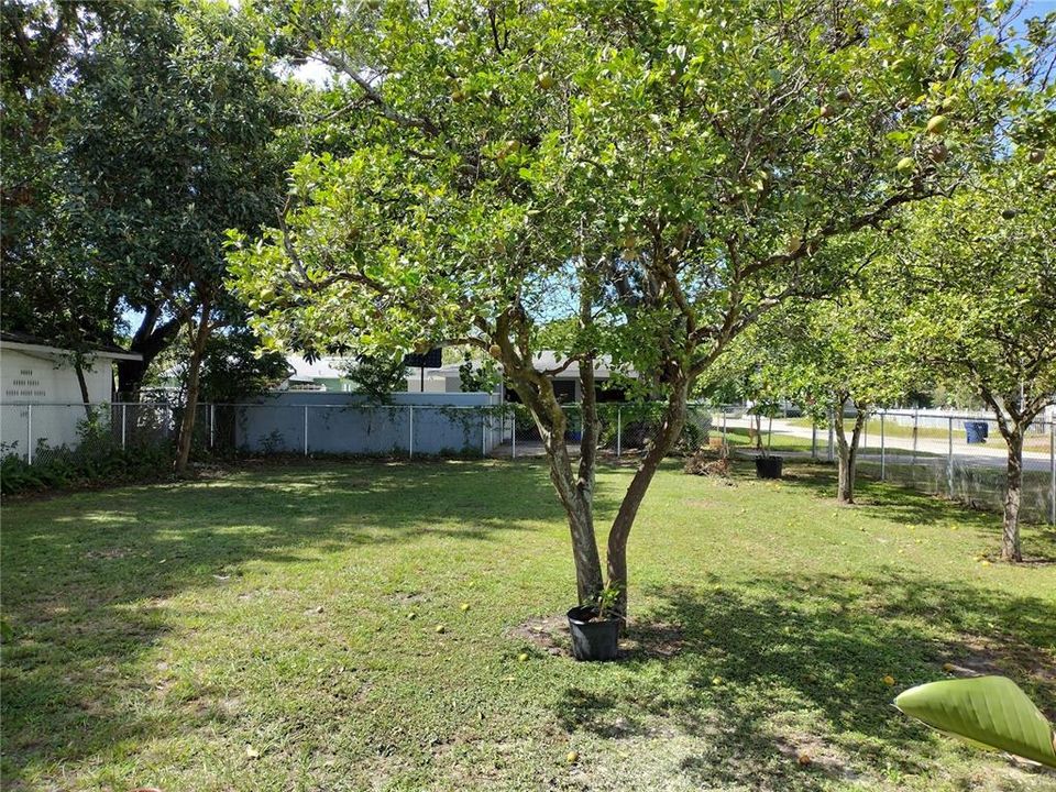 For Rent: $2,500 (3 beds, 1 baths, 1093 Square Feet)