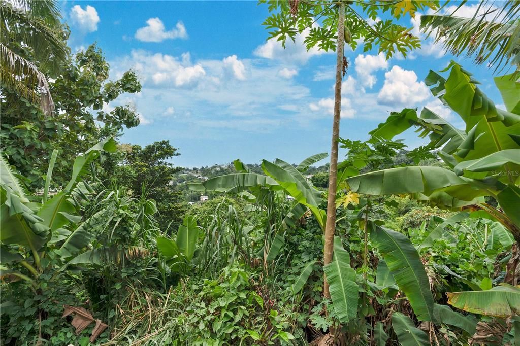 En Venta: $329,000 (7 camas, 4 baños, 2100 Pies cuadrados)