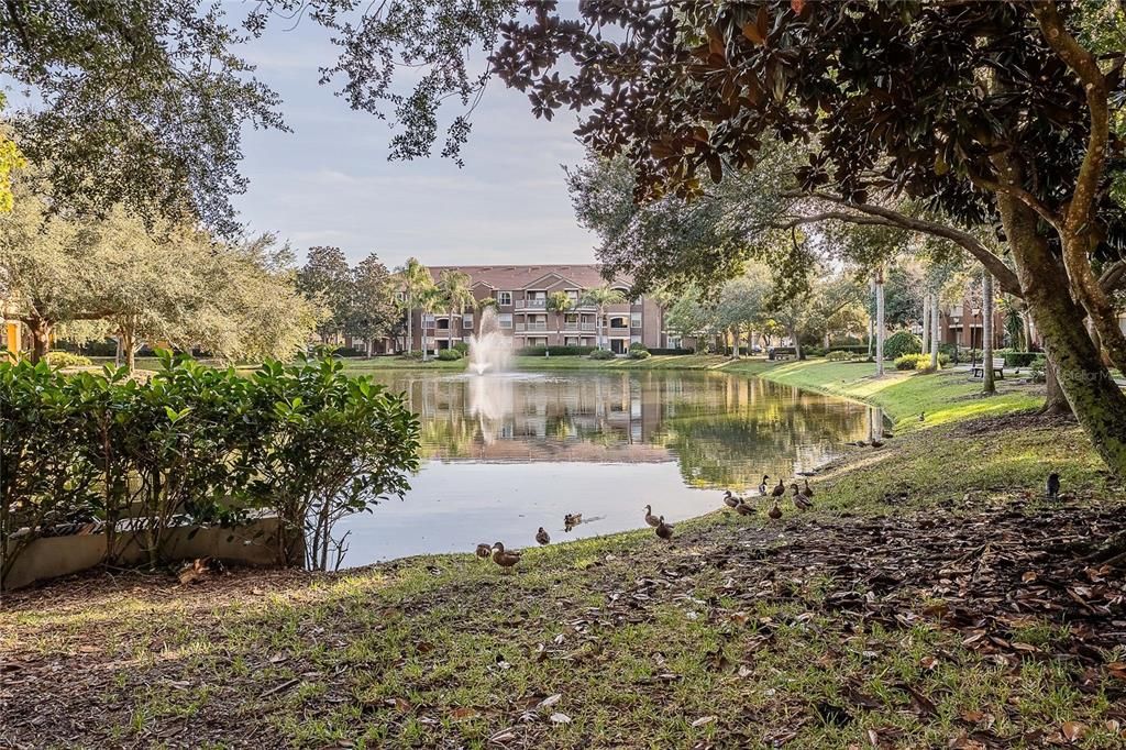 For Sale: $206,000 (1 beds, 1 baths, 621 Square Feet)