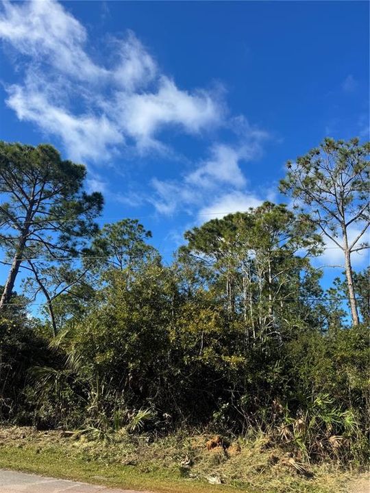 For Sale: $75,000 (0.25 acres)