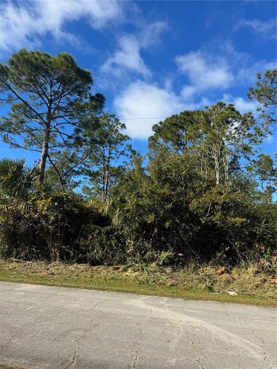 For Sale: $75,000 (0.25 acres)