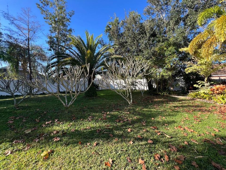 На продажу: $439,000 (3 спален, 2 ванн, 1822 Квадратных фут)