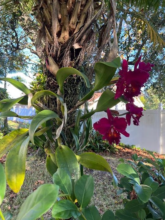 На продажу: $439,000 (3 спален, 2 ванн, 1822 Квадратных фут)