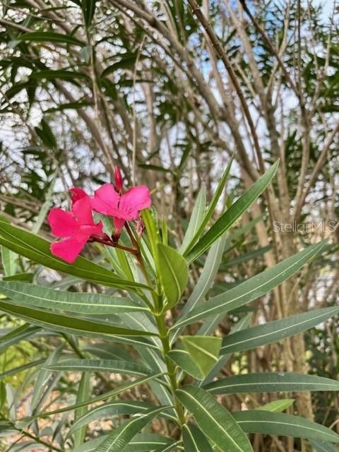 For Sale: $355,500 (2 beds, 2 baths, 1870 Square Feet)