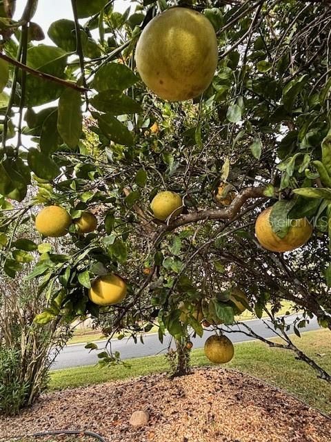 For Sale: $355,500 (2 beds, 2 baths, 1870 Square Feet)