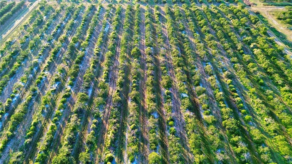 待售: $320,000 (19.72 acres)