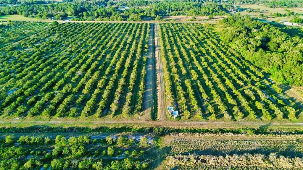 待售: $320,000 (19.72 acres)