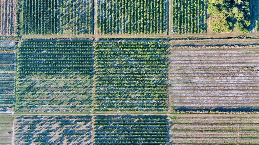 На продажу: $160,000 (10.11 acres)