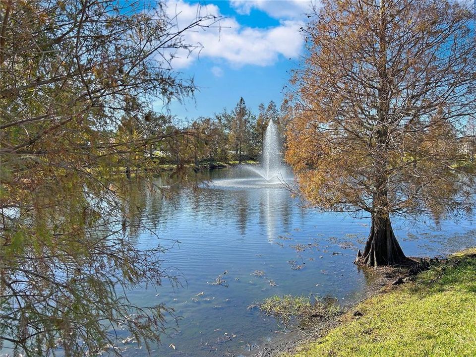 На продажу: $299,000 (2 спален, 2 ванн, 1935 Квадратных фут)