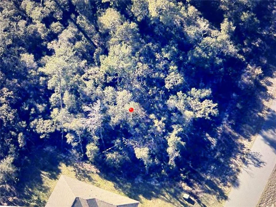 For Sale: $42,000 (0.29 acres)