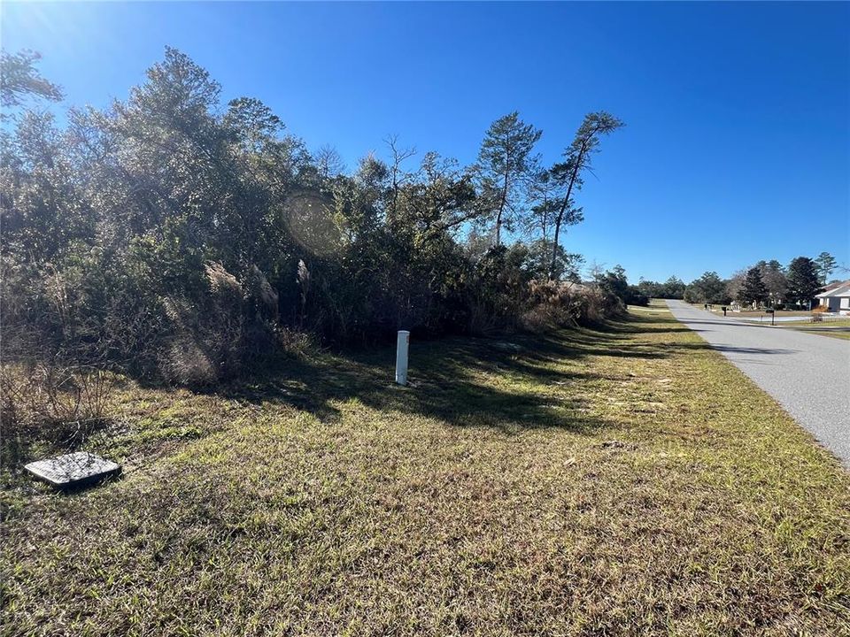 For Sale: $42,000 (0.29 acres)