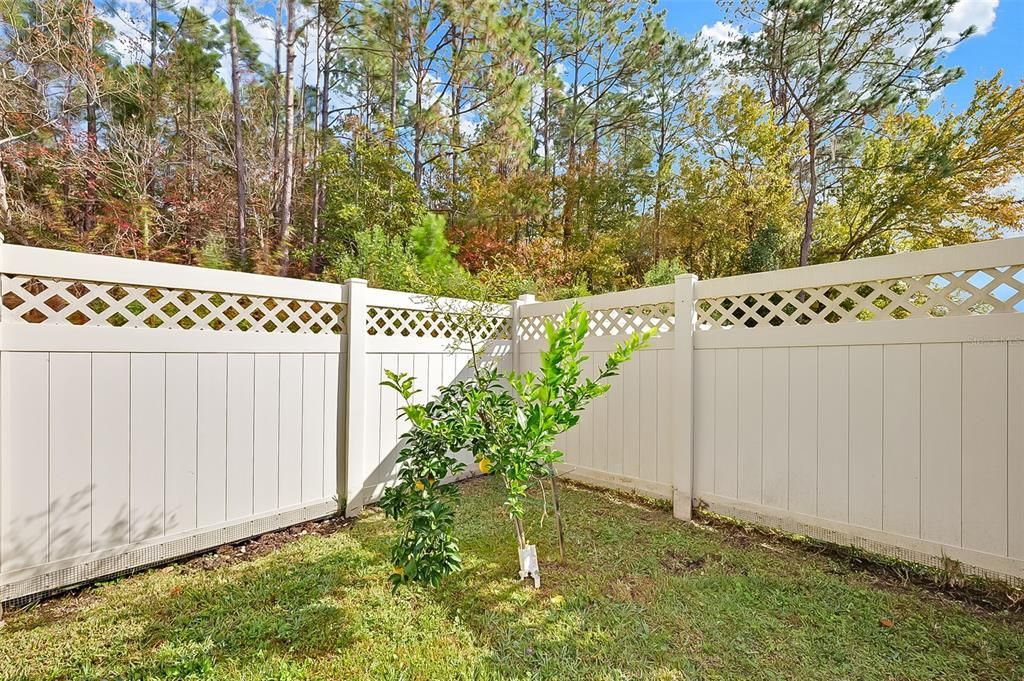 En Venta: $314,900 (3 camas, 2 baños, 1868 Pies cuadrados)